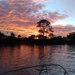 Albert River Bed and Breakfast- Sunset